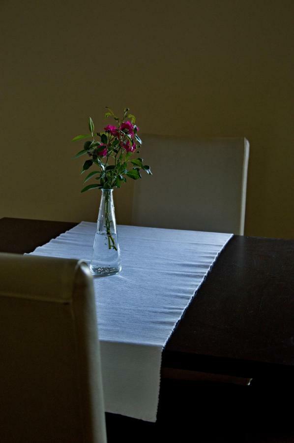 Penzion Haydnuv Dum Dolní Lukavice Esterno foto